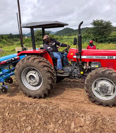 Elegance Mining and Construction Services- working tractor