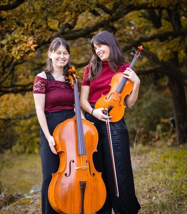 string duo viola and cello