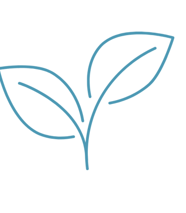 a plant with leaves on a black background