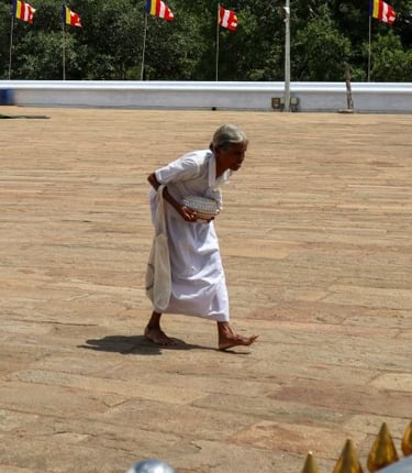 anaradhapura-signora
