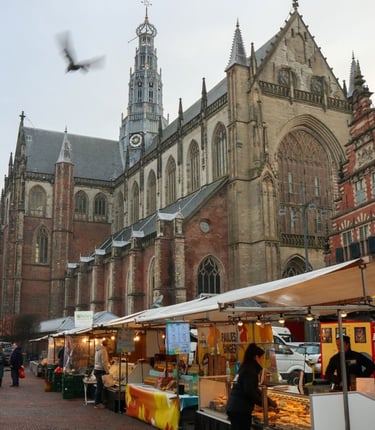 haarlem-cattedrale-de-grote-of-bavokerk