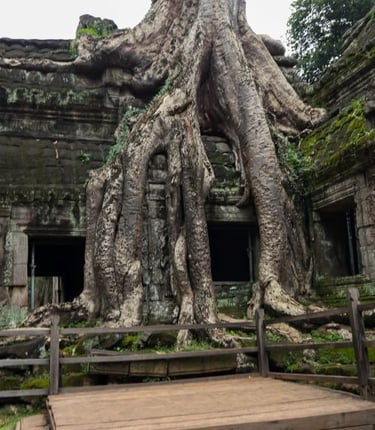 ta-prohm-cambogia