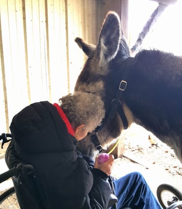 Personne âgée en fauteuil roulant à côté de son âne lors d'une séance d'équithérapie