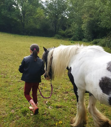 Enfant marche à côté de son poney lors d'une séance d'équithérapie