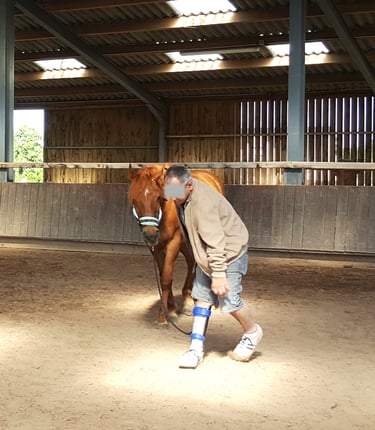 Personne handicapé moteur marche avec son cheval lors d'une séance d'équithérapie
