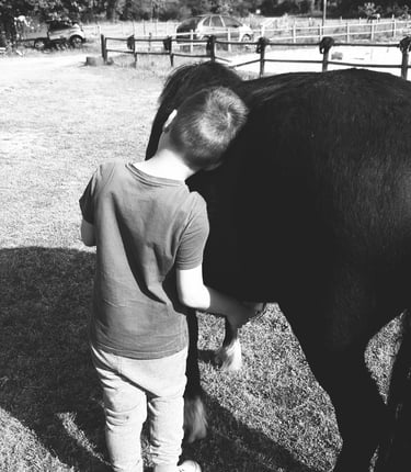 Enfant posant sa tête contre le dos de son poney et mettant sa main sous son ventre