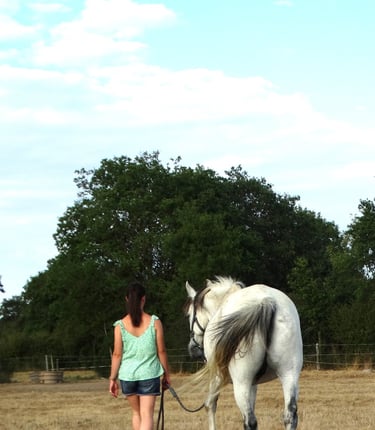 Jeune fille marchant avec son cheval lors d'une séance d'équithérapie
