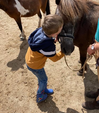enfant faisant un bisous à son poney lors d'une séance d'équithérapie