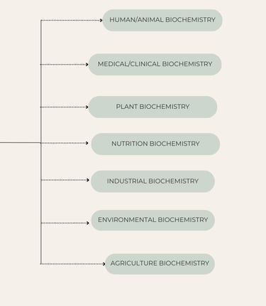 Branches of biochemistry