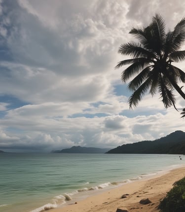 Peaceful forest pathway near a tropical beach at sunrise