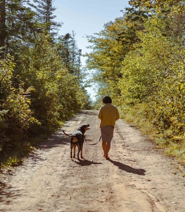 Walking with dog in the trail. 