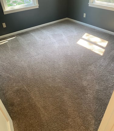 TOP QUALITY AND PROFESSIONAL CARPET STEAMING AND CLEANING IN KANSAS CITY NEWTON KANSAS AND MISSOURI