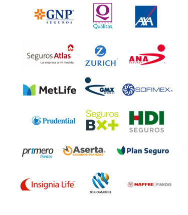 empresas que maneja zinergia