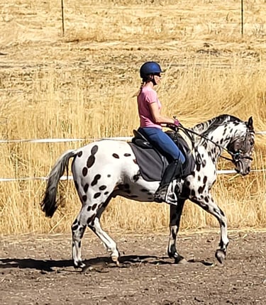 training at home in Idaho with Jamie Bonovitz