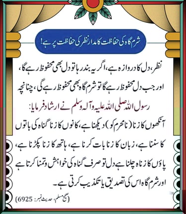 Hadith About Protecting Gaze-Sahih Muslim 6925-Nazar ki Hifazat Islam zahanatonline.com