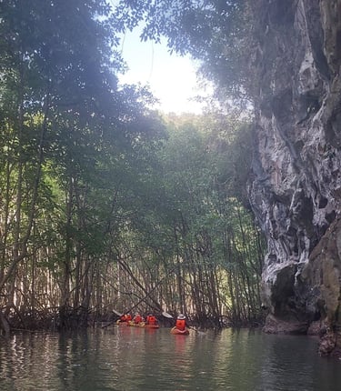 krabi ao thalane bay mangrove forest kayaking