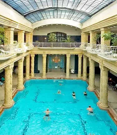 a large indoor swimming pool with a skylight