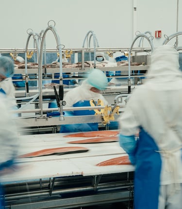 Travailleurs dans une usine agroalimentaire Réseau Le Saint