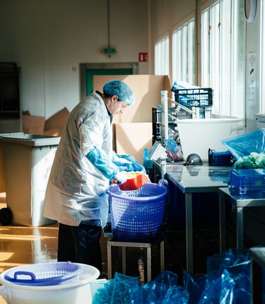 Traitement et conditionnement de légumes dans une entreprise agroalimentaire Réseau Le Saint
