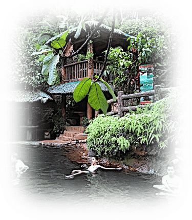 a group of people are swimming in a pond