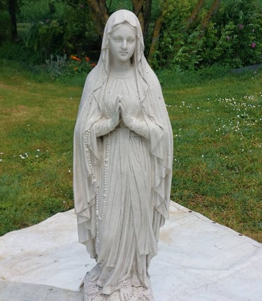 Nettoyage par drone, démoussage de toiture, Nettoyage de panneaux solaires, façade et bardage 