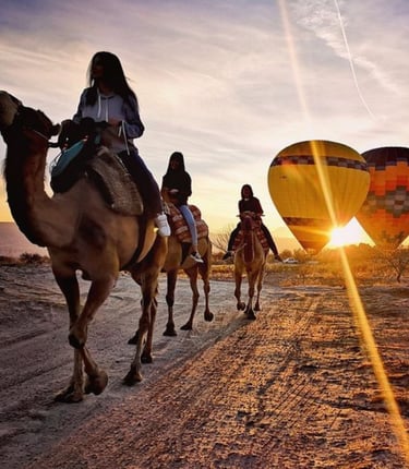 Camel Rides in Marrakech & Agafay: A Desert Adventure