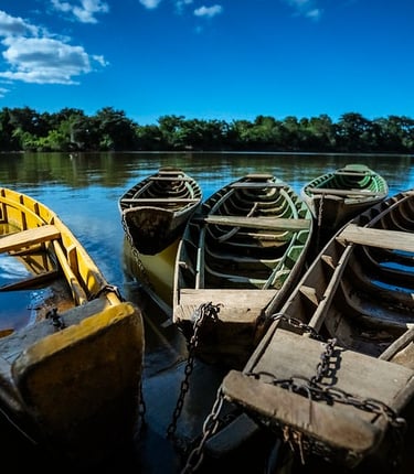 Rustic wooden rowboats anchored on a calm river under a clear blue sky with green trees.
