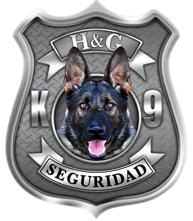 Logo K9 Seguridad Capacitaciones