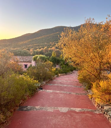 Agriturismo in Sardegna a pochi chilometri da Olbia, Porto rotondo, Arzachena, San Pantaleo