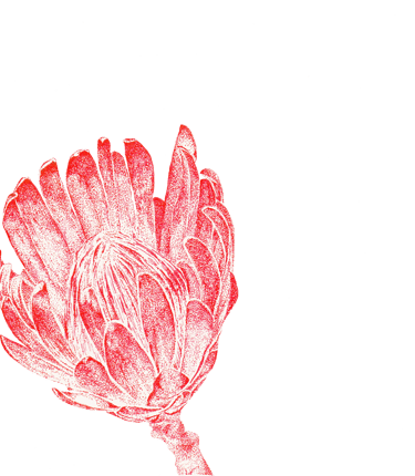 Fleur de couleur rouge dessinée en "DOT"