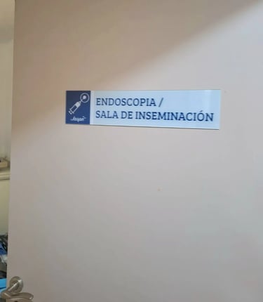 Procedimiento de inseminación artificial