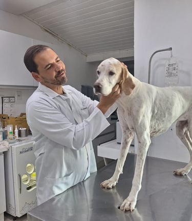 Dr. Leonardo Monteiro em consulta na Veterinária Professor Adalbyr em Mangaratiba
