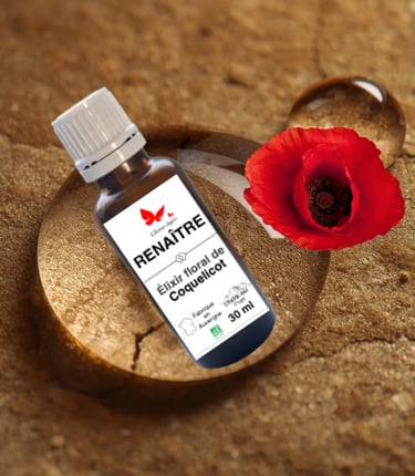 Flacon élixir floral RENAÎTRE, L'Âme-Agie.