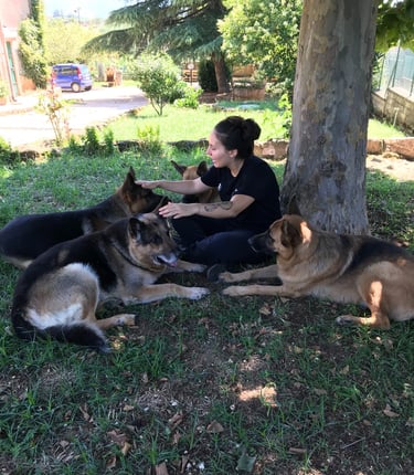 Fabrizia Ceccacci - addestramento cani comando terra