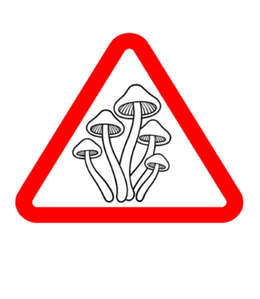 A red warning triangle featuring a mushroom illustration and the word INFUSED in dotted text.
