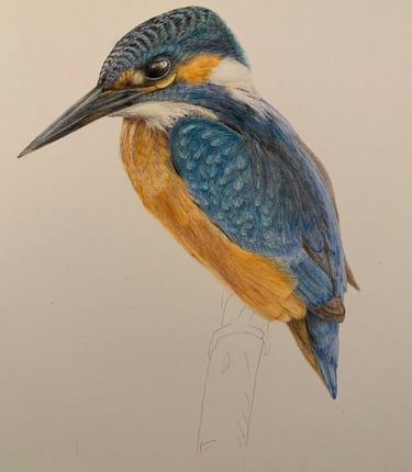 Kingfisher