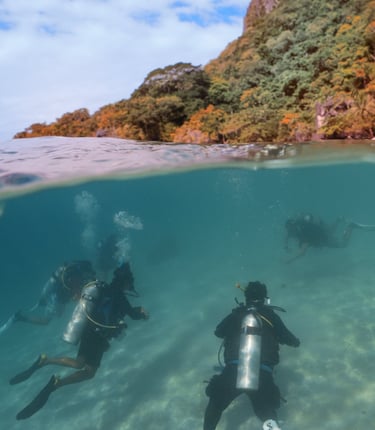 instructor development el nido philippines