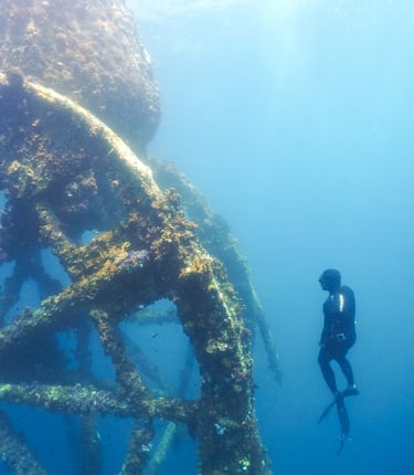 jonjon suarez freediving el nido
