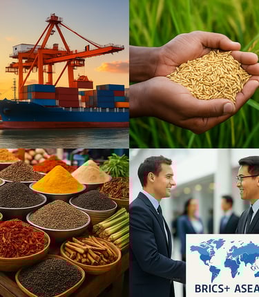 export-network-membership-high-business-international