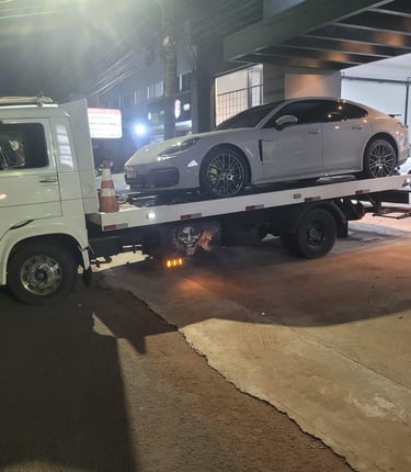 Guincho campo grande