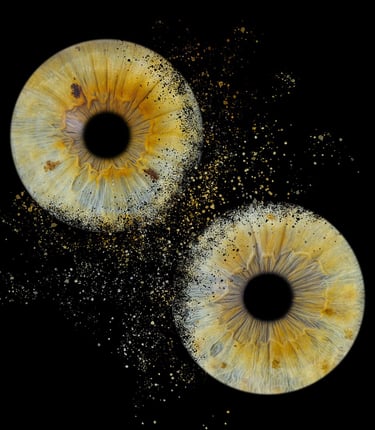photo iris bordeaux