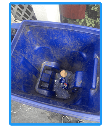 Trash Can Cleaning Services