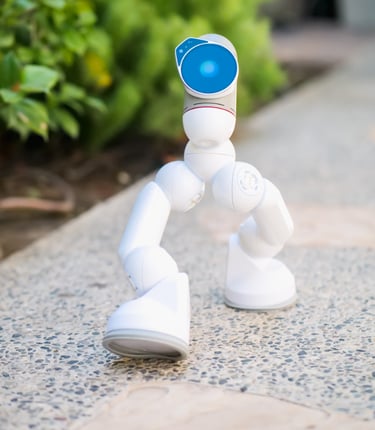 Humanoid Robot at work