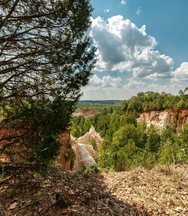 Green Earth Academy nature scene