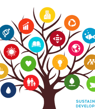 iZero for NetZERO Sustainable Development Goals