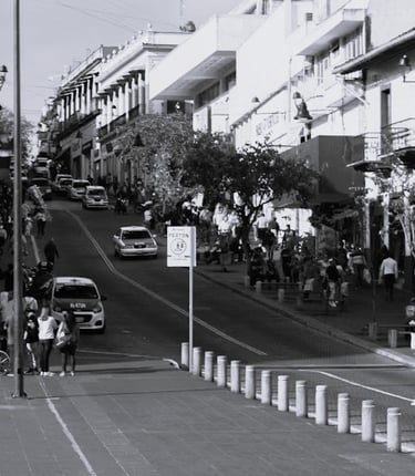 Abogado en Xalapa