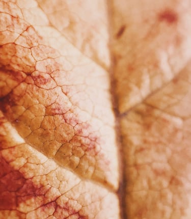 Atrofia e secchezza vaginale in menopausa 