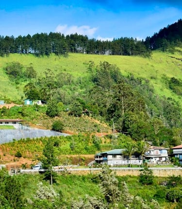 a hillside with a few houses and trees