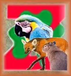 Zootec Brasil