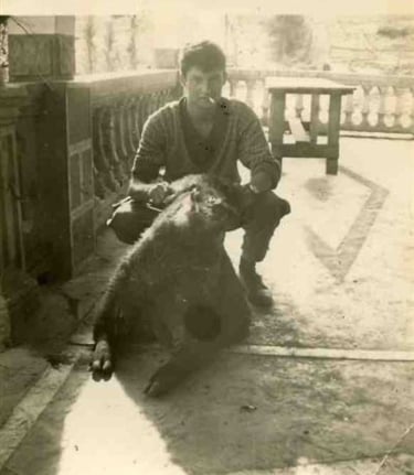 Fausto guerre d'Algérie